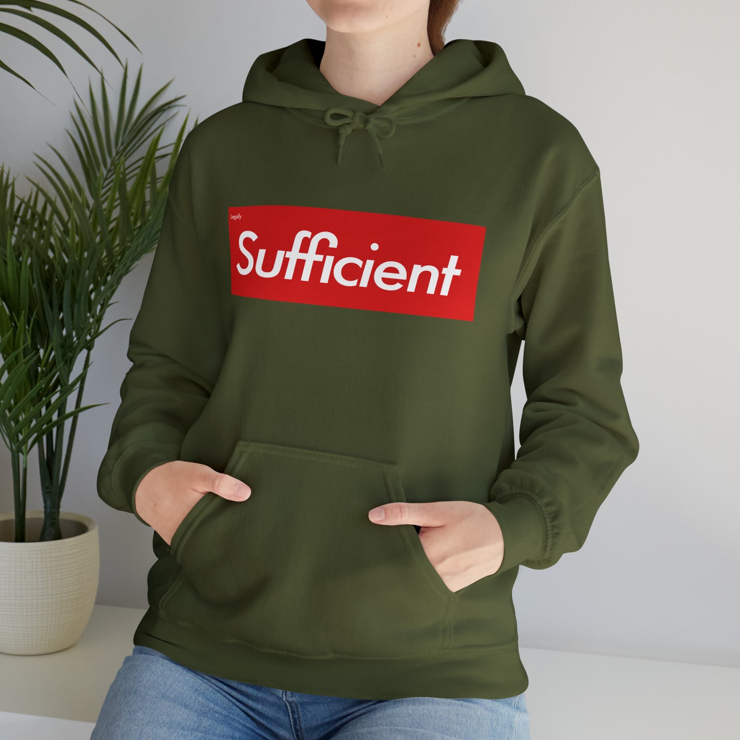 Legally Sufficient Hoodie