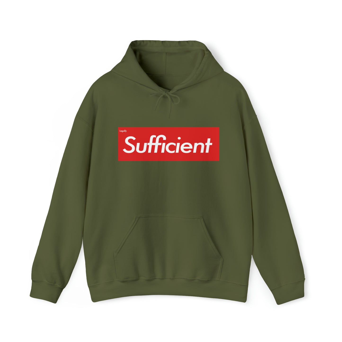 Legally Sufficient Hoodie