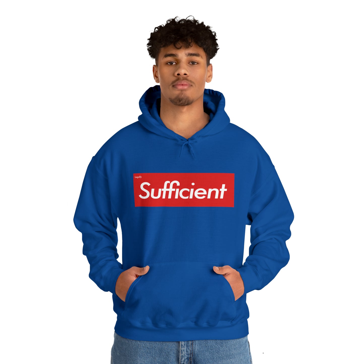 Legally Sufficient Hoodie