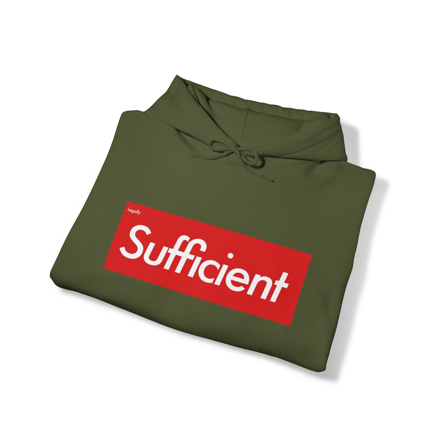 Legally Sufficient Hoodie