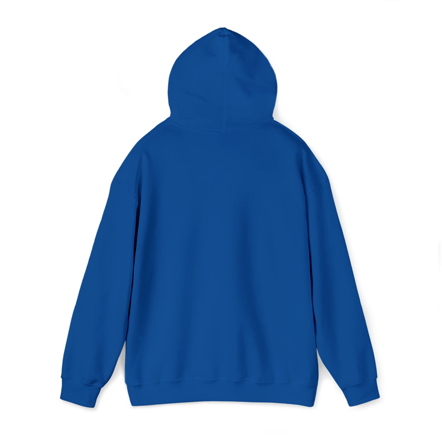 Legally Sufficient Hoodie