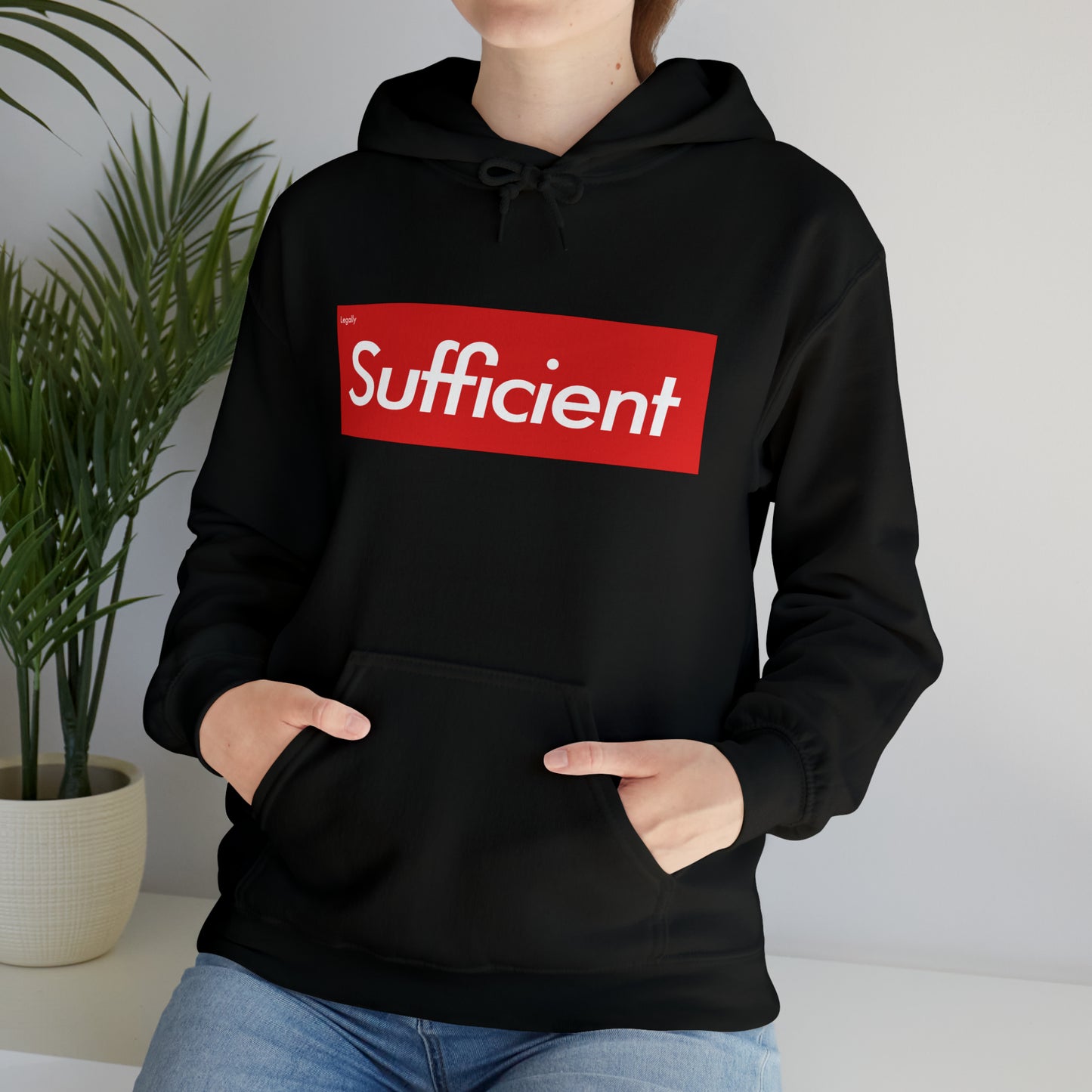 Legally Sufficient Hoodie