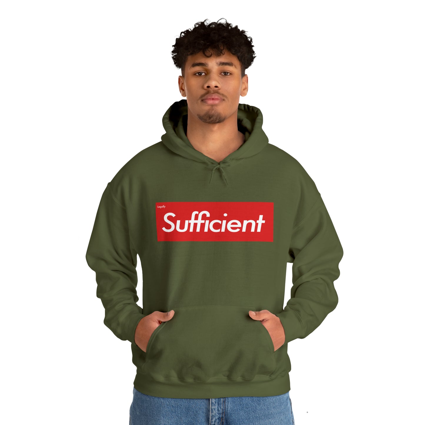 Legally Sufficient Hoodie