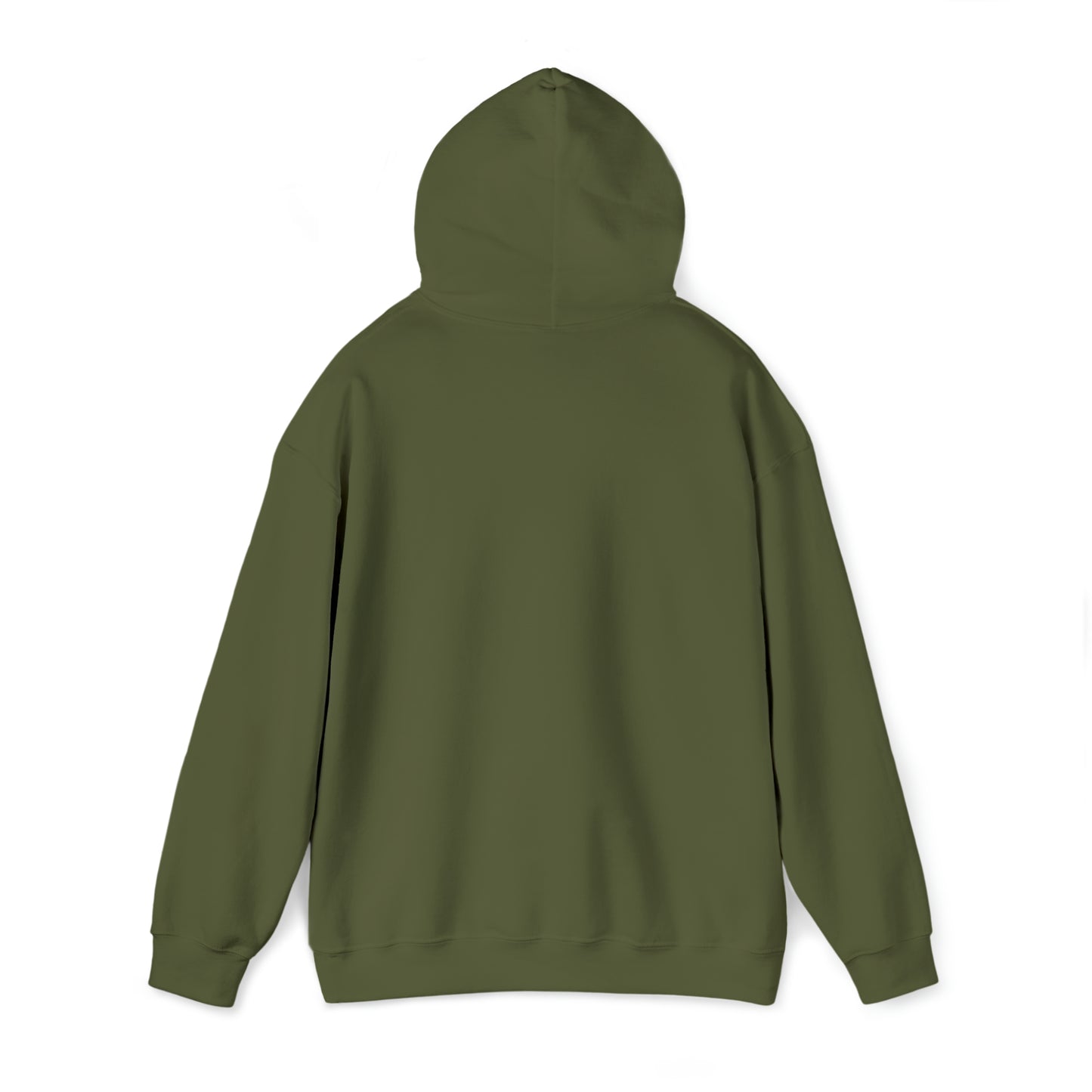 Legally Sufficient Hoodie