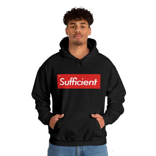 Legally Sufficient Hoodie