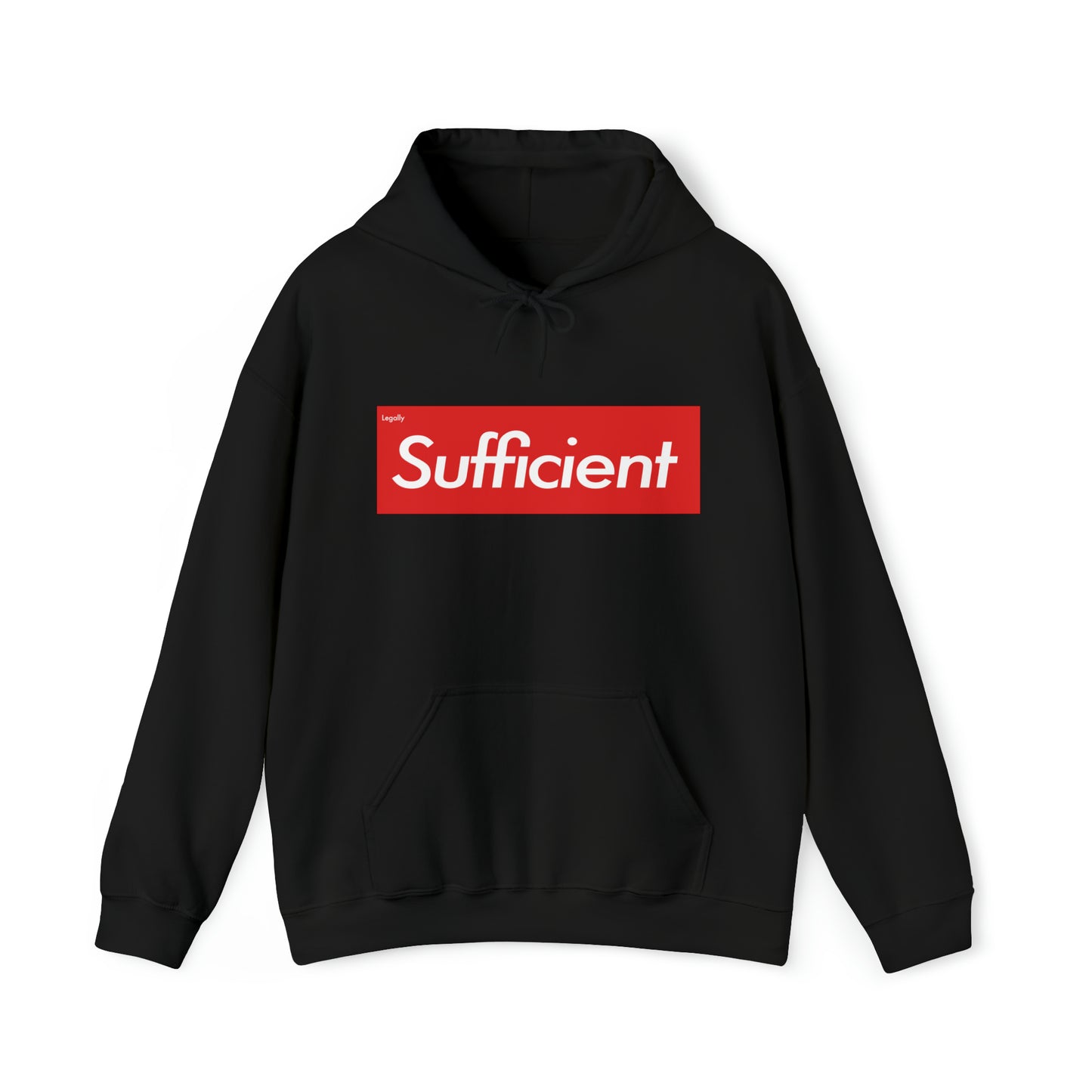 Legally Sufficient Hoodie